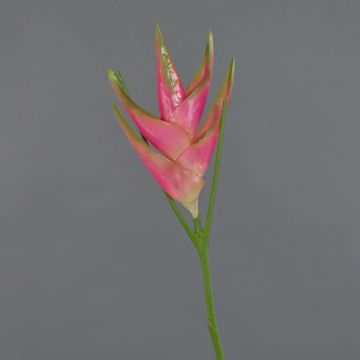 Speronella finta TOMKE, rosa-verde, 80cm, Ø30cm