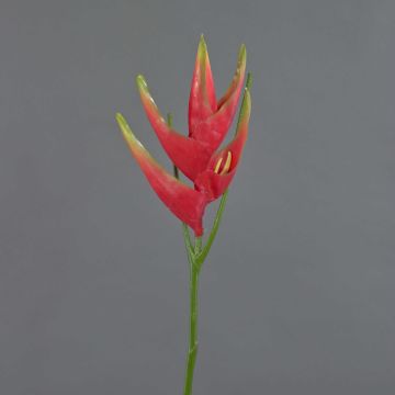 Speronella finta TOMKE, rosso-verde, 80cm, Ø30cm