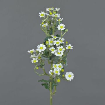 Partenio finto FEMKE, bianco, 60cm, Ø1,5-2cm