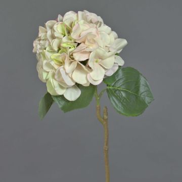 Ortensia di plastica CHIDORI, rosa crema, 60cm, Ø20cm