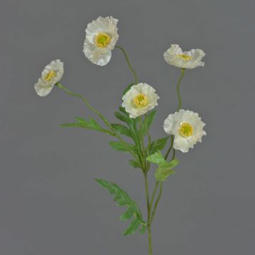 Papavero finto KEIRA, bianco, 65cm, Ø5cm