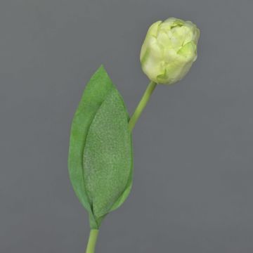 Tulipano finto ROMANA, verde-bianco, 45cm, Ø6cm
