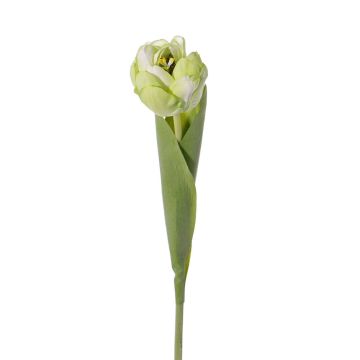Tulipano finto ROMANA, verde-bianco, 45cm, Ø6cm