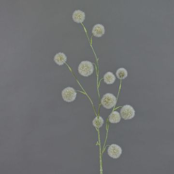 Allium finto EMRAH, verde, 80cm, Ø2-4cm