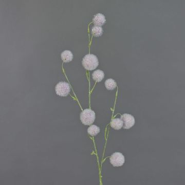 Allium finto EMRAH, viola, 80cm, Ø2-4cm