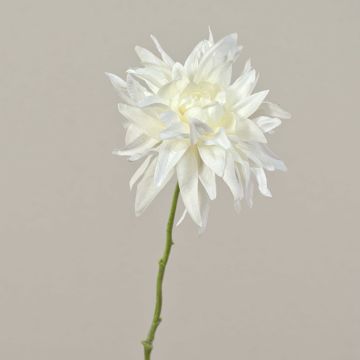 Dalia di plastica SMILA, crema, 55cm, Ø12cm