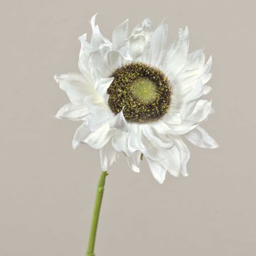 Girasole finto JANIKA, crema, 60cm, Ø12cm