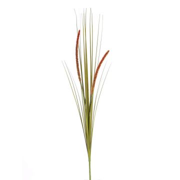 Erba decorativa di coda di volpe JILL, su stelo, pannocchie, verde-rosso, 90cm