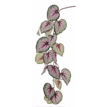 Ramo di begonia rex finta KATRICE, verde-viola, 110cm