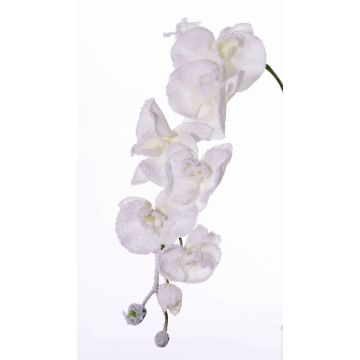 Ramo artificiale di orchidea Phalaenopsis MYRIA, neve, bianco, 75cm
