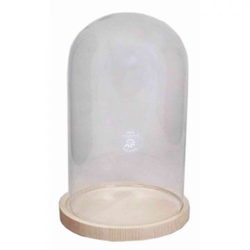 Campana in vetro SABIKA, con piastra, cilindrico/rotondo, trasparente, 30cm, Ø17cm/Ø19cm