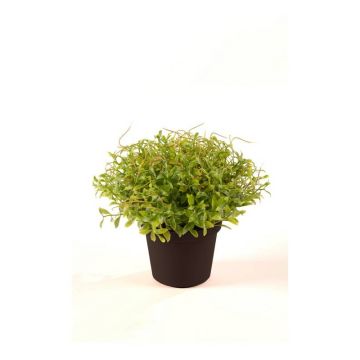 Crescione artificiale YANIS, verde, 13cm
