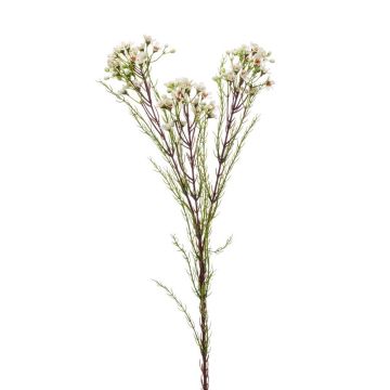 Fiore di cera finto MEDEA, crema, 80cm