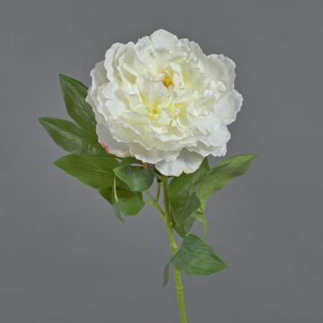 Peonia di plastica DIVIN, crema, 65cm