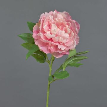 Peonia di plastica DIVIN, rosa, 65cm