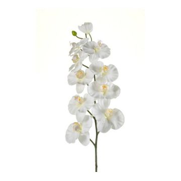 Ramo finto di orchidee Phalaenopsis ANAT, crema, 100cm