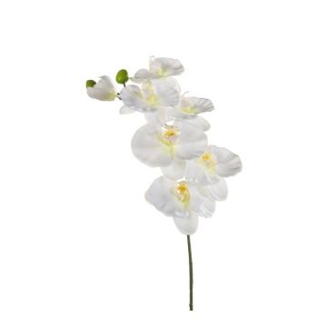Ramo finto di orchidee Phalaenopsis BASTET, bianco, 80cm
