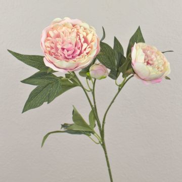 Peonia decorativa MISTI, viola chiaro, 70cm