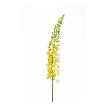 Fiore finto di candela del deserto AOMORI, giallo, 105cm
