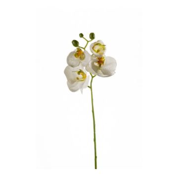 Ramo di orchidea Phalaenopsis di plastica MINA, bianco, 55cm