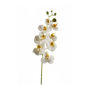 Ramo di orchidea Phalaenopsis di plastica MINA, bianco, 70cm