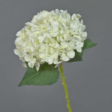 Ortensia finta EGIA, crema, 50cm