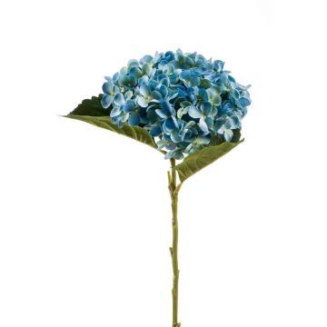 Ortensia finta EGIA, blu, 50cm