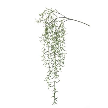 Ramo finto di cactus rhipsalis pilocarpa PUEBLA, verde, 120cm