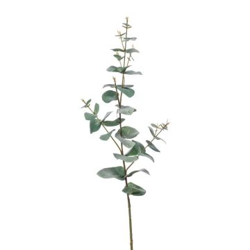 Ramo di eucalipto finto CALLIOPE, grigio-verde, 70cm