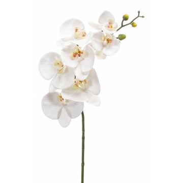 Ramo di orchidea Phalaenopsis di plastica NEITH, bianco, 85cm