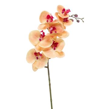 Ramo decorativo di orchidea Phalaenopsis NEITH, rosa-arancione, 85cm