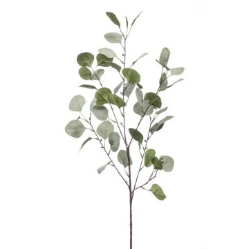 Ramo di eucalipto finto COLTON, verde-grigio, 85cm