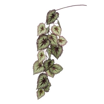 Ramo di begonia rex finta MEIRA, verde-viola, 110cm