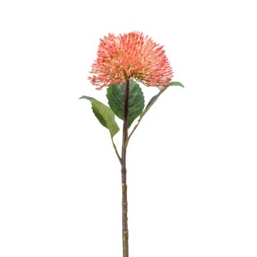 Sedum artificiale JICAMA, rosa, 45cm