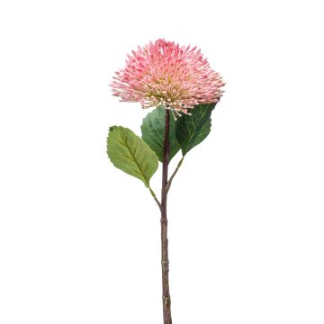 Sedum artificiale JICAMA, rosa-bianco, 45cm