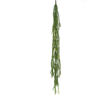 Cactus epiphyllum di plastica BORNEO da inserire, verde, 120cm