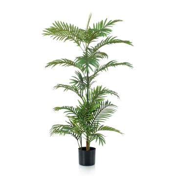 Palma Areca finta PRIMO, 120cm