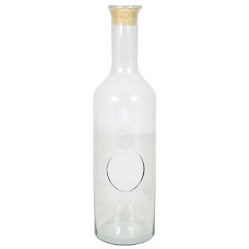 Terrario bottiglia di vetro DRACO con sughero, trasparente, 55cm, Ø15cm