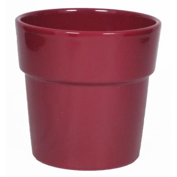 Vaso per orchidee MARIVAN, ceramica, rosso vino, 12,5cm, Ø13,5cm