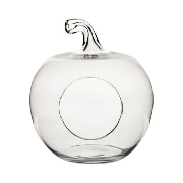 Terrario in vetro TISOA a forma di mela, trasparente, 23cm, Ø21cm