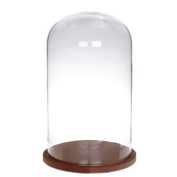 Campana di vetro HELVIN con base in legno, trasparente, 38cm, Ø22cm