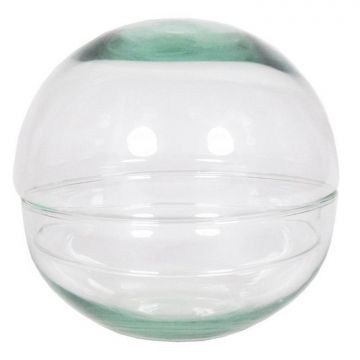 Terrario a sfera BRYSON di vetro, trasparente, 12cm, Ø12cm