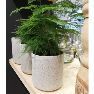Vaso da fiori in ceramica ARAYA, maculato, beige, 13cm, Ø13cm