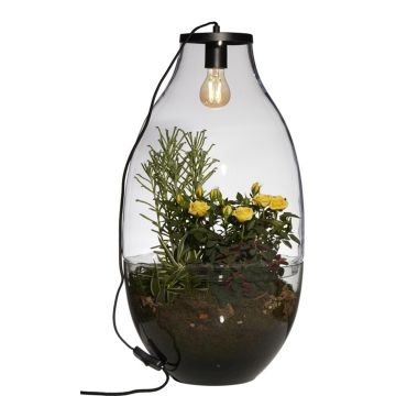 Terrario per piante in vetro PALITA con illuminazione, trasparente, 64cm, Ø34cm