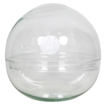 Terrario a sfera BRYSON di vetro, trasparente, 19,5cm, Ø19,5cm