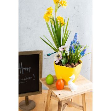 Pasqua