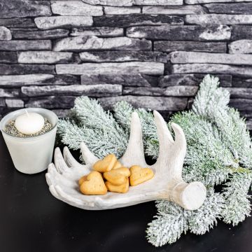 Il Natale è tempo di biscotti