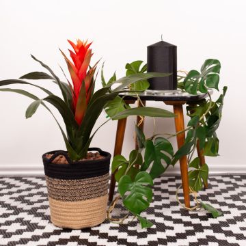 Stile scandinavo