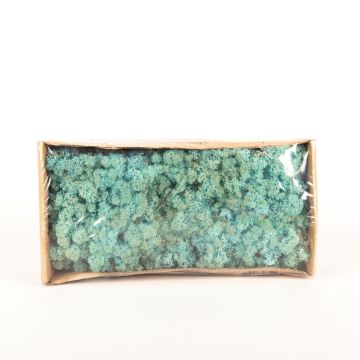 Muschio islandese naturale SVEINBJÖRN, blu turchese, 500g