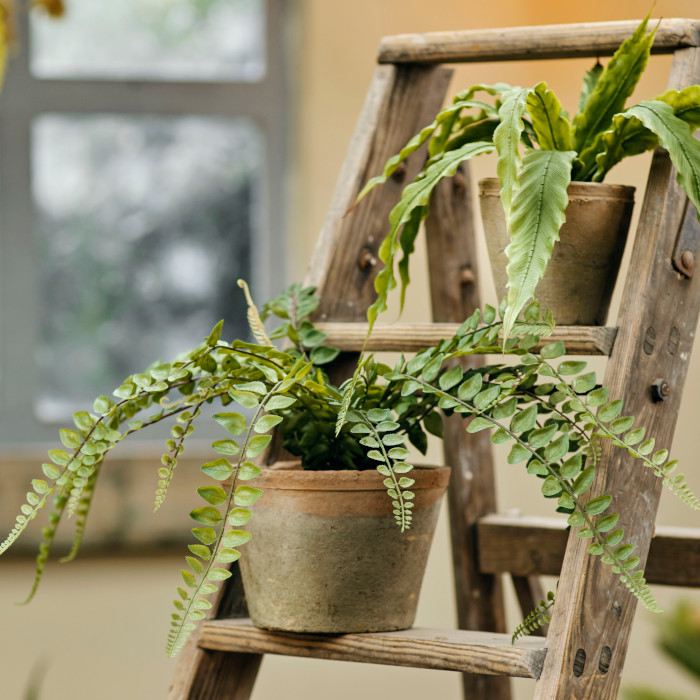 Piante e fiori artificiali